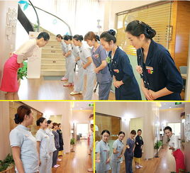 艾青蓮的多元服務(wù)之旅 美牙培訓(xùn)與婚姻介紹的雙重機遇